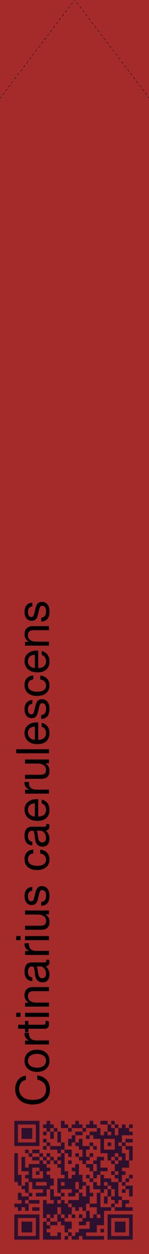 Étiquette de : Cortinarius caerulescens - format c - style noire33_simplehel avec qrcode et comestibilité