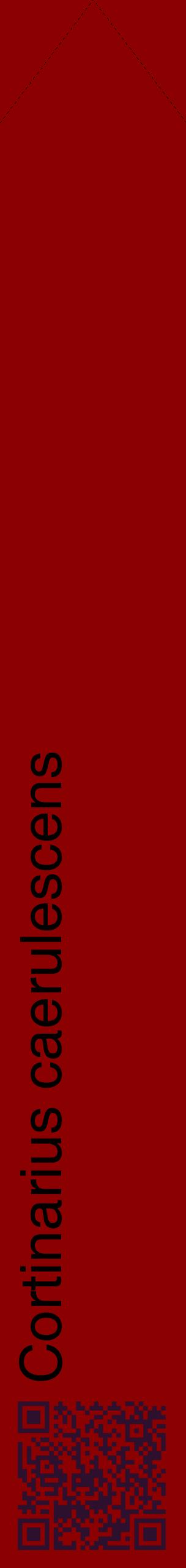 Étiquette de : Cortinarius caerulescens - format c - style noire34_simplehel avec qrcode et comestibilité