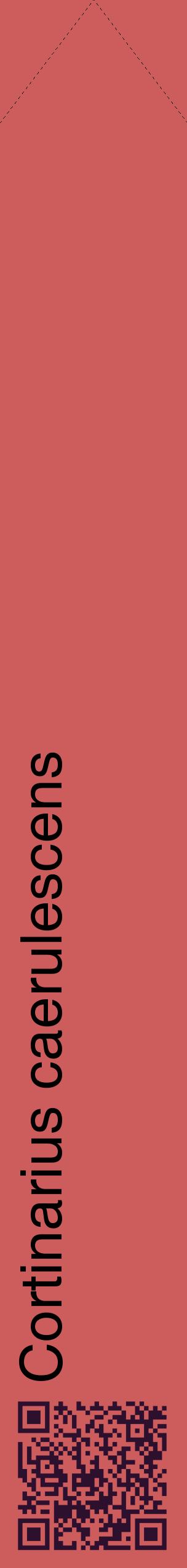 Étiquette de : Cortinarius caerulescens - format c - style noire35_simplehel avec qrcode et comestibilité