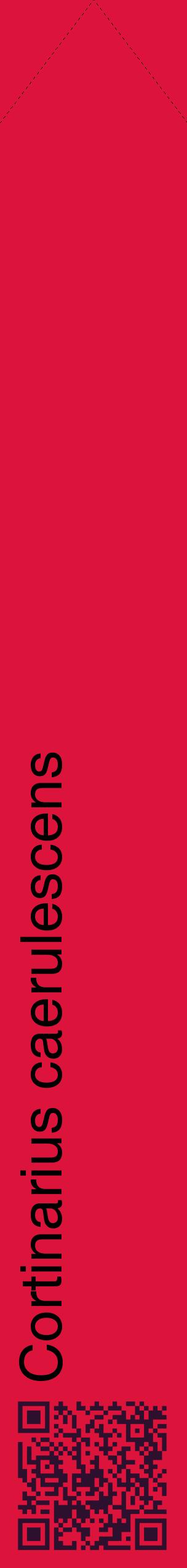 Étiquette de : Cortinarius caerulescens - format c - style noire36_simplehel avec qrcode et comestibilité