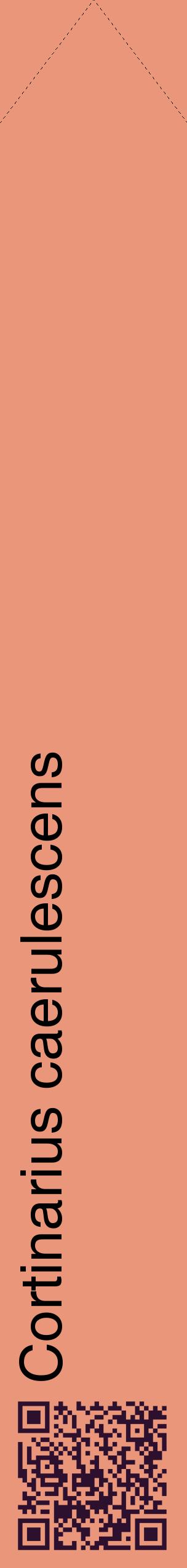 Étiquette de : Cortinarius caerulescens - format c - style noire37_simplehel avec qrcode et comestibilité