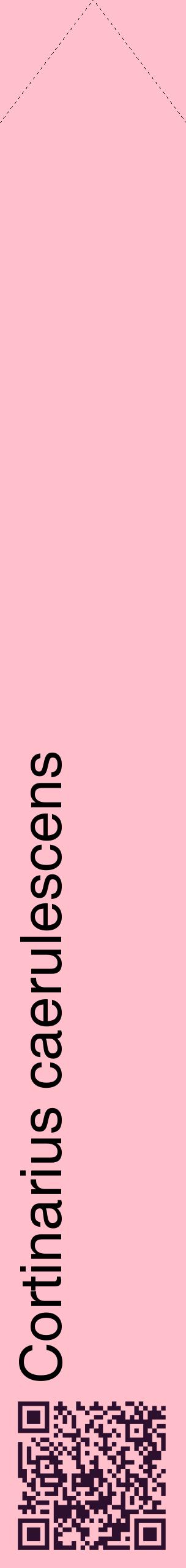 Étiquette de : Cortinarius caerulescens - format c - style noire40_simplehel avec qrcode et comestibilité