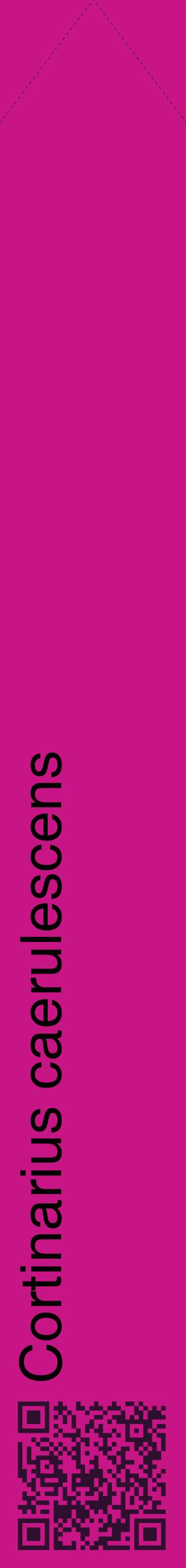 Étiquette de : Cortinarius caerulescens - format c - style noire45_simplehel avec qrcode et comestibilité