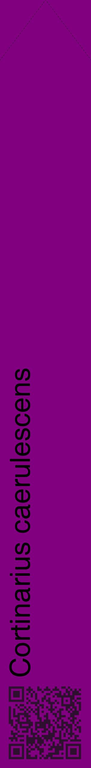 Étiquette de : Cortinarius caerulescens - format c - style noire46_simplehel avec qrcode et comestibilité