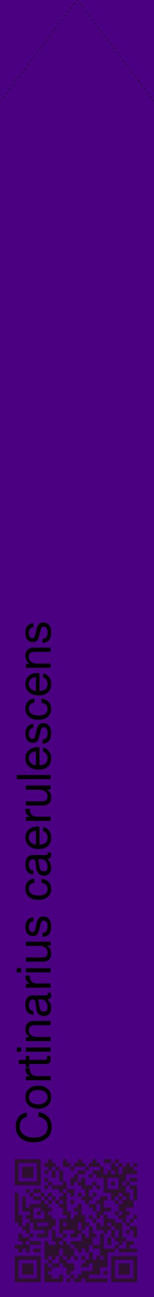 Étiquette de : Cortinarius caerulescens - format c - style noire47_simplehel avec qrcode et comestibilité