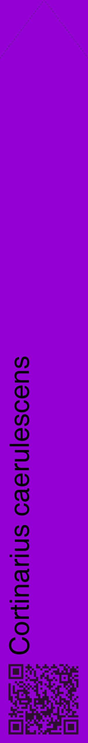 Étiquette de : Cortinarius caerulescens - format c - style noire48_simplehel avec qrcode et comestibilité