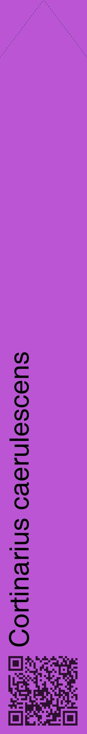 Étiquette de : Cortinarius caerulescens - format c - style noire50_simplehel avec qrcode et comestibilité