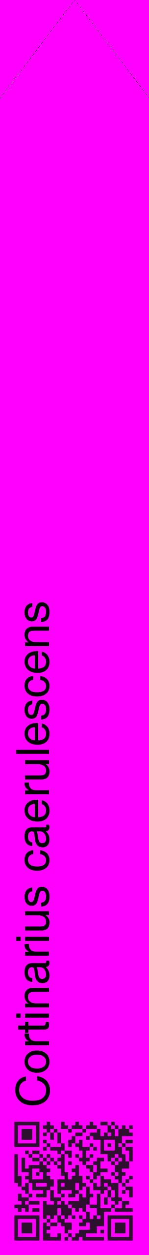 Étiquette de : Cortinarius caerulescens - format c - style noire51_simplehel avec qrcode et comestibilité