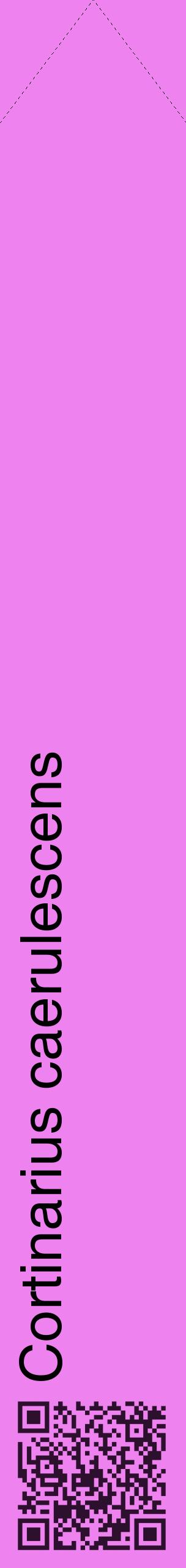 Étiquette de : Cortinarius caerulescens - format c - style noire53_simplehel avec qrcode et comestibilité