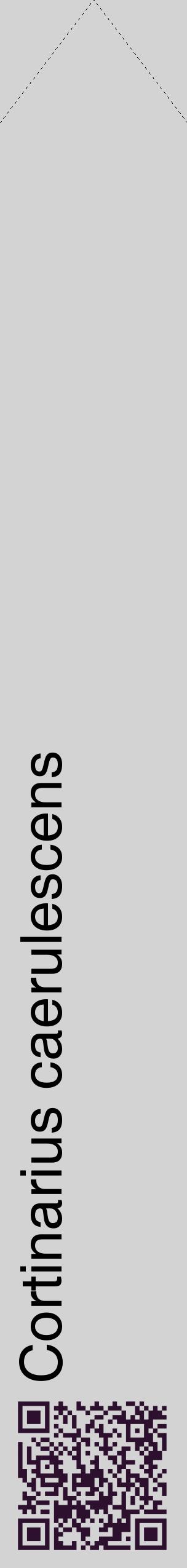 Étiquette de : Cortinarius caerulescens - format c - style noire56_simplehel avec qrcode et comestibilité