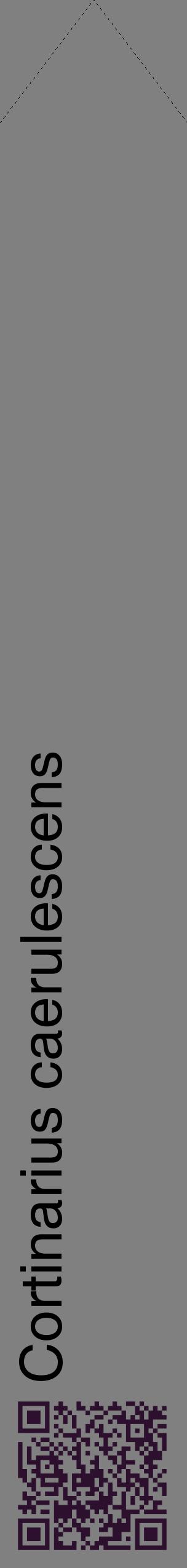 Étiquette de : Cortinarius caerulescens - format c - style noire57_simplehel avec qrcode et comestibilité