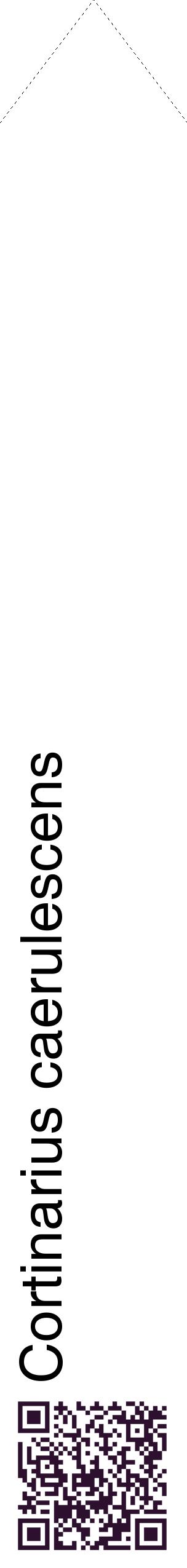 Étiquette de : Cortinarius caerulescens - format c - style noire60_simplehel avec qrcode et comestibilité