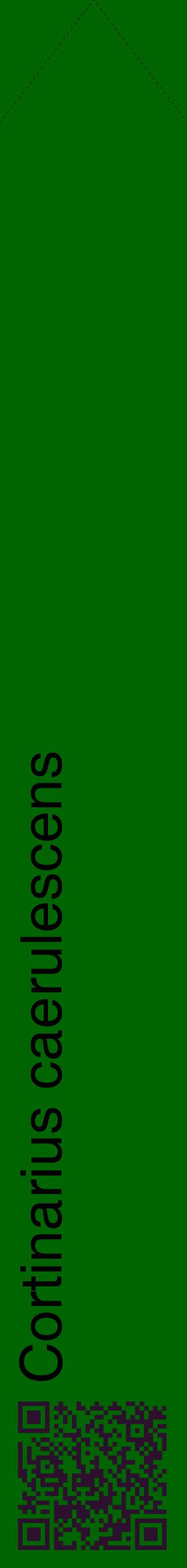 Étiquette de : Cortinarius caerulescens - format c - style noire8_simplehel avec qrcode et comestibilité