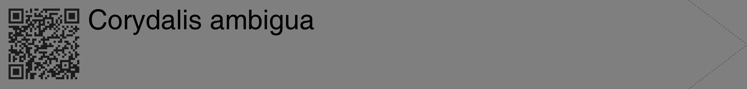 Étiquette de : Corydalis ambigua - format c - style noire31_simple_simplehel avec qrcode et comestibilité