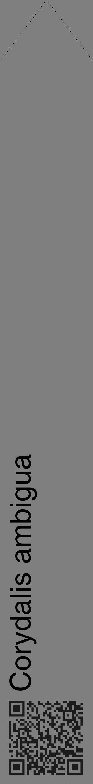 Étiquette de : Corydalis ambigua - format c - style noire31_simple_simplehel avec qrcode et comestibilité - position verticale