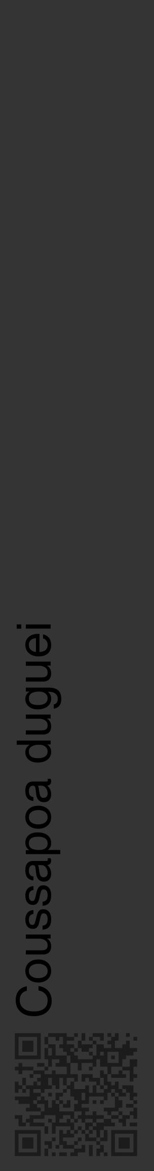 Étiquette de : Coussapoa duguei - format c - style noire46_basique_basiquehel avec qrcode et comestibilité - position verticale