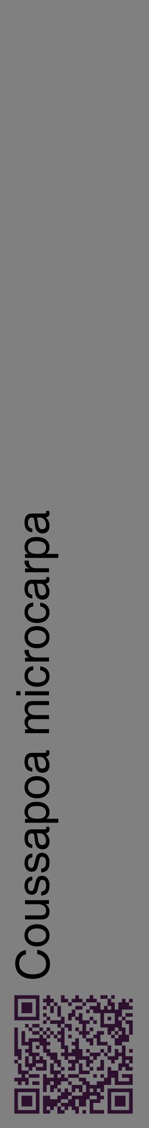Étiquette de : Coussapoa microcarpa - format c - style noire57_basiquehel avec qrcode et comestibilité