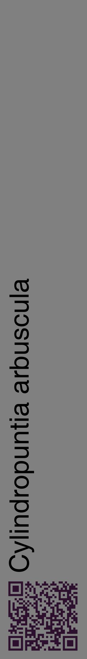 Étiquette de : Cylindropuntia arbuscula - format c - style noire57_basiquehel avec qrcode et comestibilité