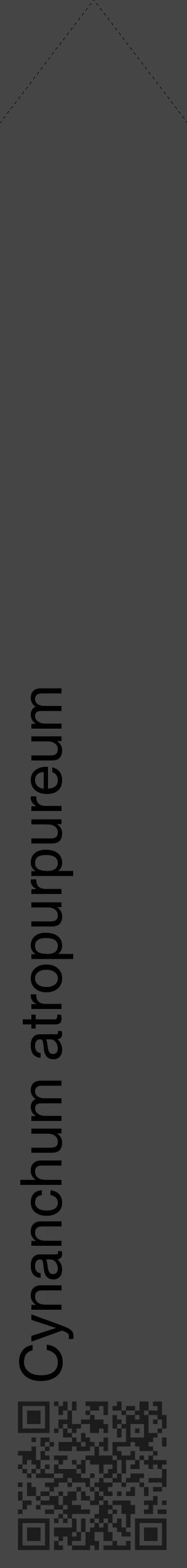 Étiquette de : Cynanchum atropurpureum - format c - style noire58_simple_simplehel avec qrcode et comestibilité - position verticale