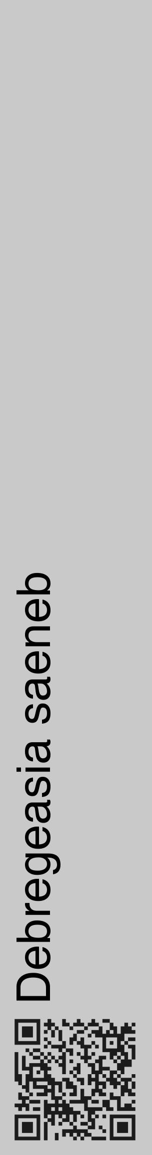 Étiquette de : Debregeasia saeneb - format c - style noire54_basique_basiquehel avec qrcode et comestibilité - position verticale