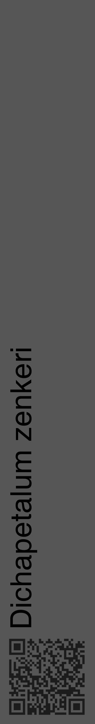 Étiquette de : Dichapetalum zenkeri - format c - style noire45_basique_basiquehel avec qrcode et comestibilité - position verticale
