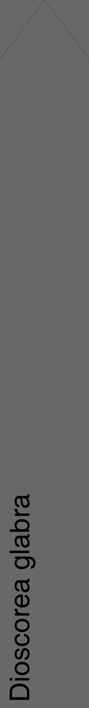 Étiquette de : Dioscorea glabra - format c - style noire43_simple_simplehel avec comestibilité - position verticale