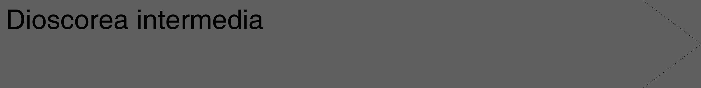 Étiquette de : Dioscorea intermedia - format c - style noire10_simple_simplehel avec comestibilité