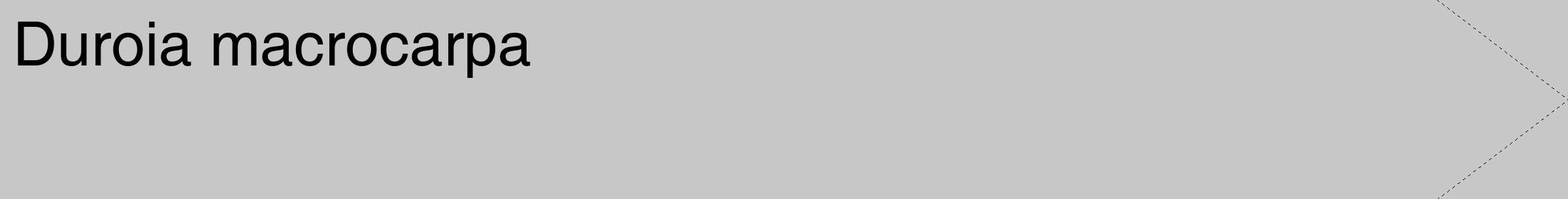 Étiquette de : Duroia macrocarpa - format c - style noire15_simple_simplehel avec comestibilité