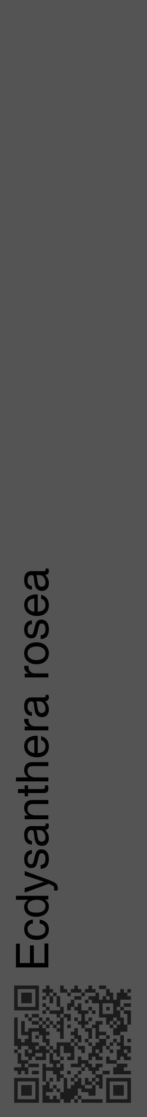 Étiquette de : Ecdysanthera rosea - format c - style noire36_basique_basiquehel avec qrcode et comestibilité - position verticale