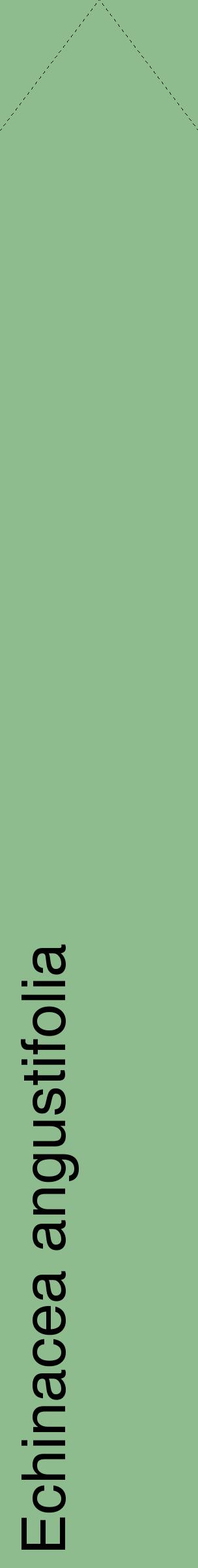 Étiquette de : Echinacea angustifolia - format c - style noire13_simplehel avec comestibilité