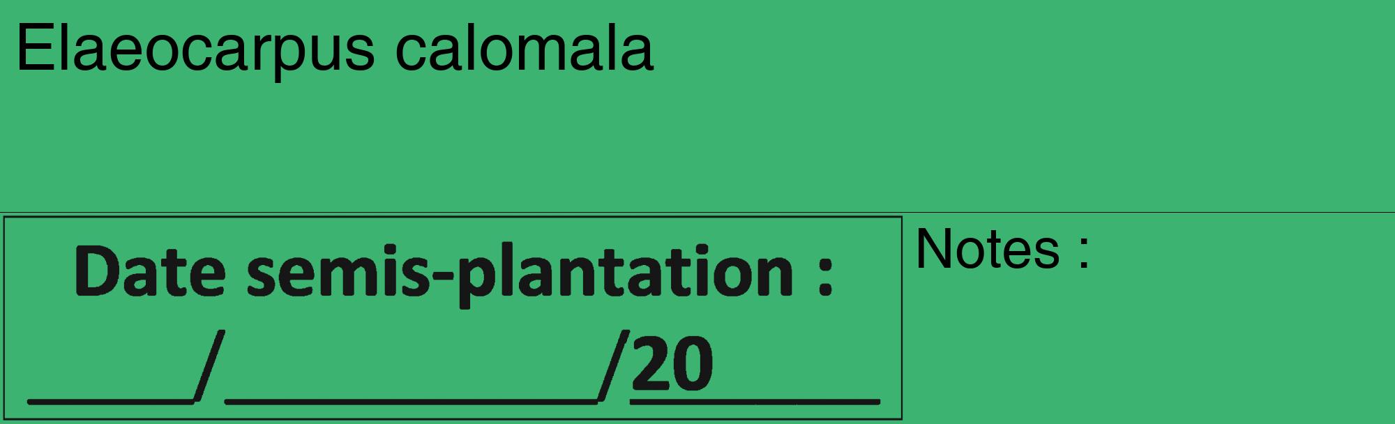 Étiquette de : Elaeocarpus calomala - format c - style noire12_basique_basiquehel avec comestibilité