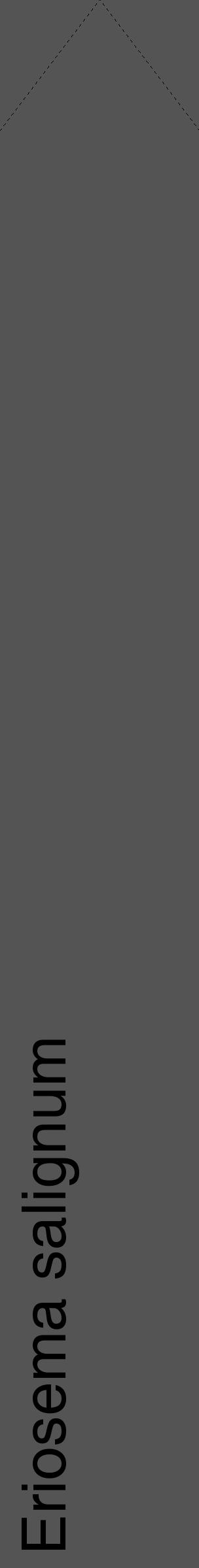 Étiquette de : Eriosema salignum - format c - style noire30_simple_simplehel avec comestibilité - position verticale