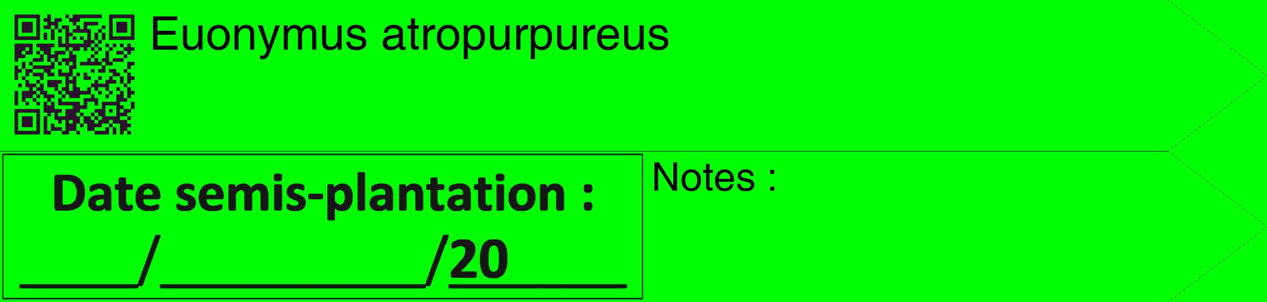 Étiquette de : Euonymus atropurpureus - format c - style noire16_simple_simplehel avec qrcode et comestibilité