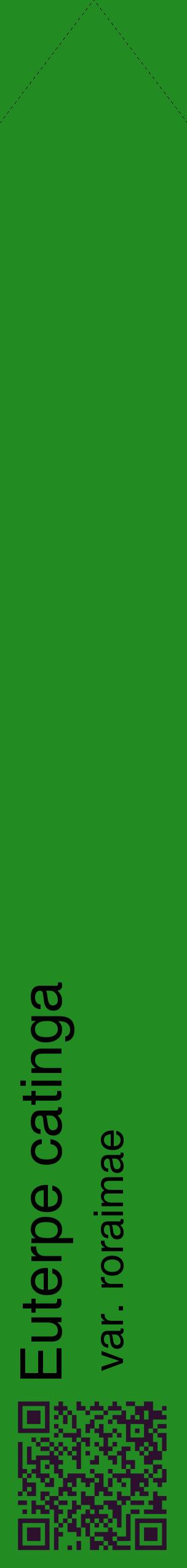 Étiquette de : Euterpe catinga var. roraimae - format c - style noire10_simplehel avec qrcode et comestibilité
