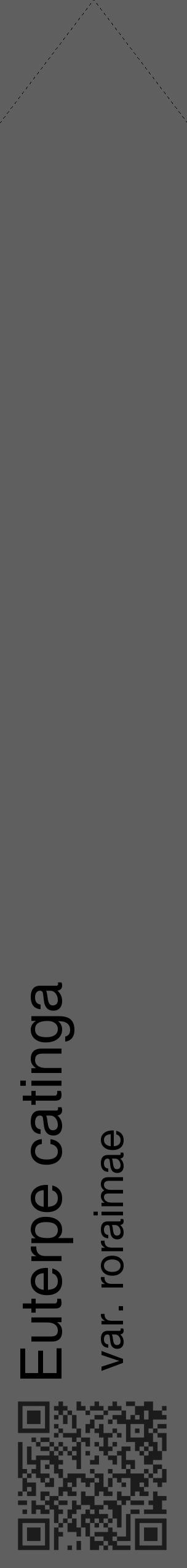 Étiquette de : Euterpe catinga var. roraimae - format c - style noire10_simple_simplehel avec qrcode et comestibilité - position verticale