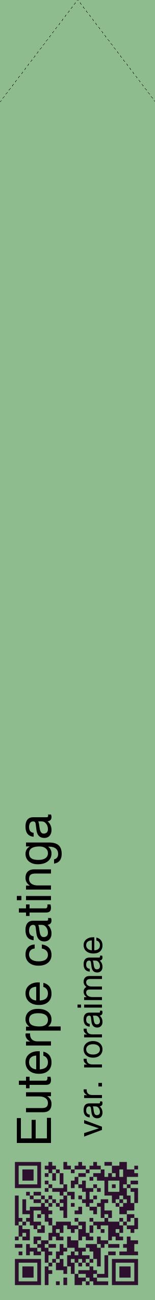 Étiquette de : Euterpe catinga var. roraimae - format c - style noire13_simplehel avec qrcode et comestibilité