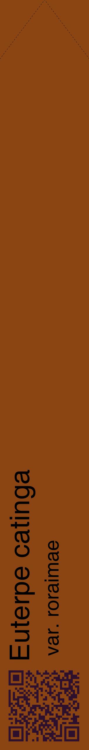 Étiquette de : Euterpe catinga var. roraimae - format c - style noire30_simplehel avec qrcode et comestibilité