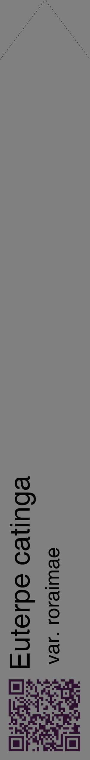 Étiquette de : Euterpe catinga var. roraimae - format c - style noire57_simplehel avec qrcode et comestibilité