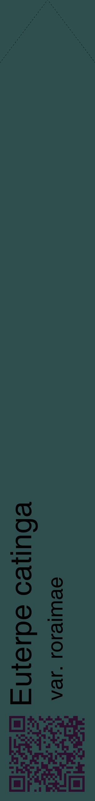 Étiquette de : Euterpe catinga var. roraimae - format c - style noire58_simplehel avec qrcode et comestibilité