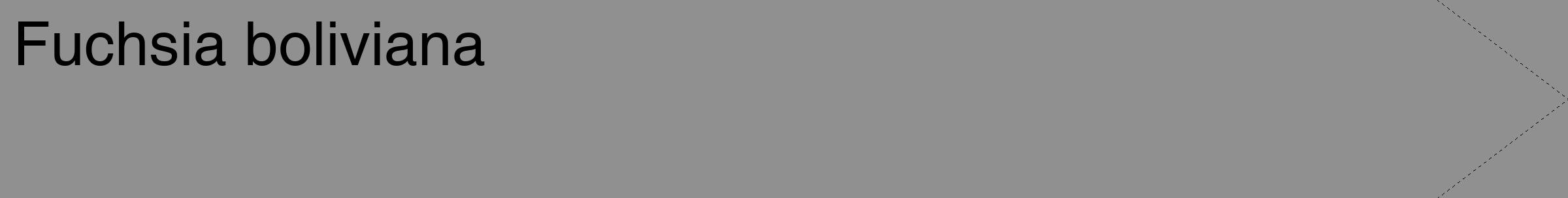 Étiquette de : Fuchsia boliviana - format c - style noire4_simple_simplehel avec comestibilité