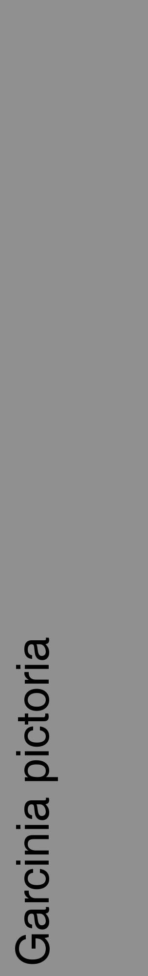 Étiquette de : Garcinia pictoria - format c - style noire4_basique_basiquehel avec comestibilité - position verticale