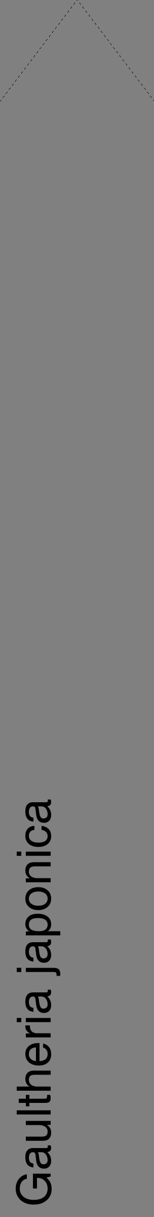 Étiquette de : Gaultheria japonica - format c - style noire57_simplehel avec comestibilité