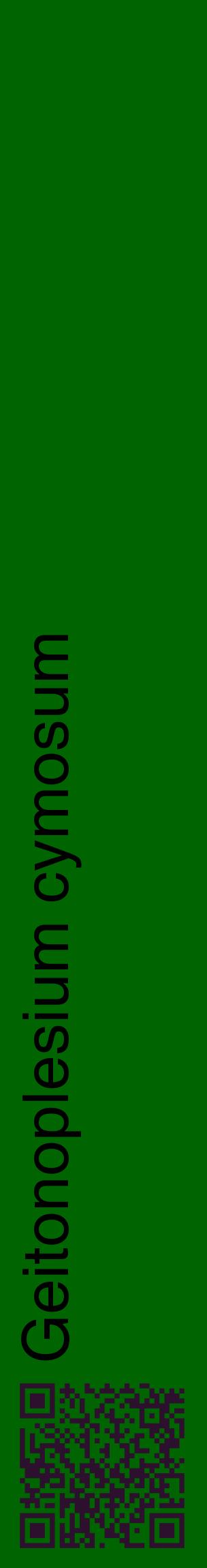 Étiquette de : Geitonoplesium cymosum - format c - style noire8_basiquehel avec qrcode et comestibilité