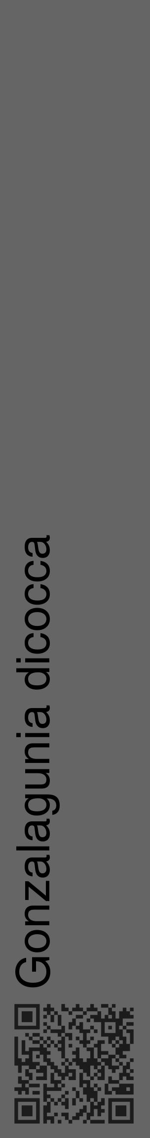 Étiquette de : Gonzalagunia dicocca - format c - style noire32_basique_basiquehel avec qrcode et comestibilité - position verticale