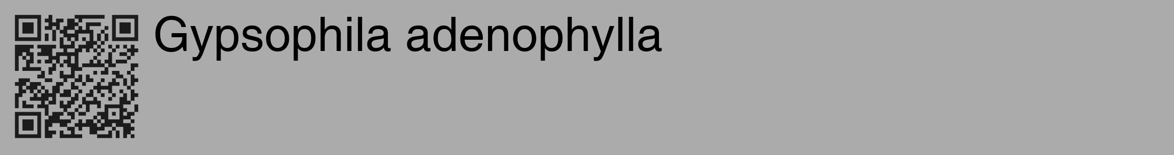 Étiquette de : Gypsophila adenophylla - format c - style noire37_basique_basiquehel avec qrcode et comestibilité