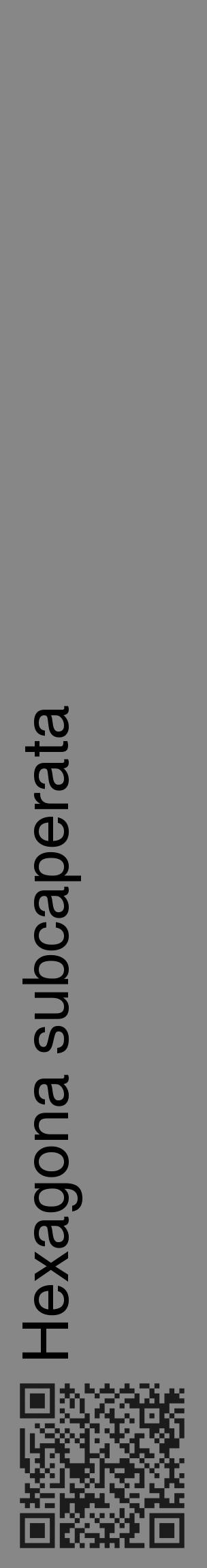 Étiquette de : Hexagona subcaperata - format c - style noire12_basique_basiquehel avec qrcode et comestibilité - position verticale