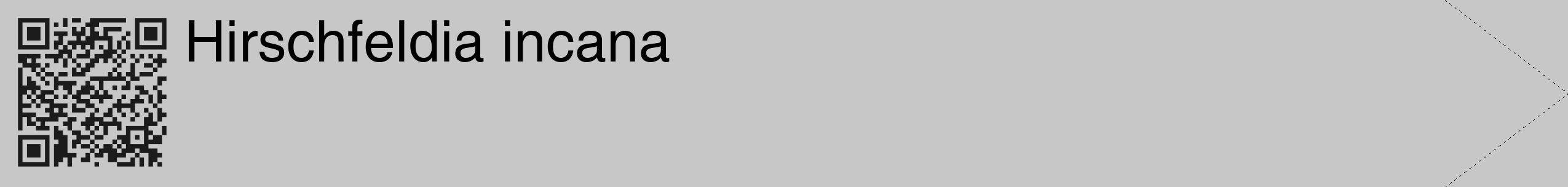 Étiquette de : Hirschfeldia incana - format c - style noire15_simple_simplehel avec qrcode et comestibilité