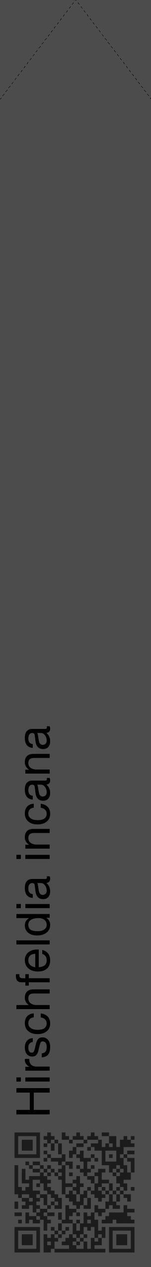Étiquette de : Hirschfeldia incana - format c - style noire27_simple_simplehel avec qrcode et comestibilité - position verticale