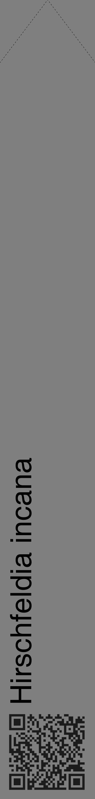 Étiquette de : Hirschfeldia incana - format c - style noire31_simple_simplehel avec qrcode et comestibilité - position verticale
