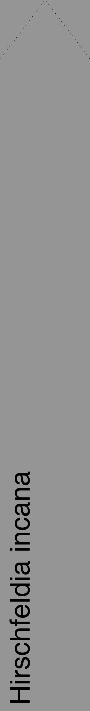 Étiquette de : Hirschfeldia incana - format c - style noire16_simple_simplehel avec comestibilité - position verticale